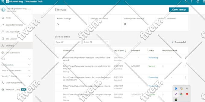onpage SEO for your wordpress website