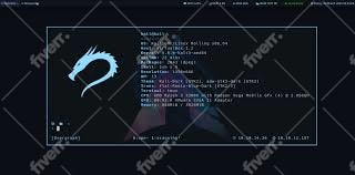 install and teach advanced kali linux