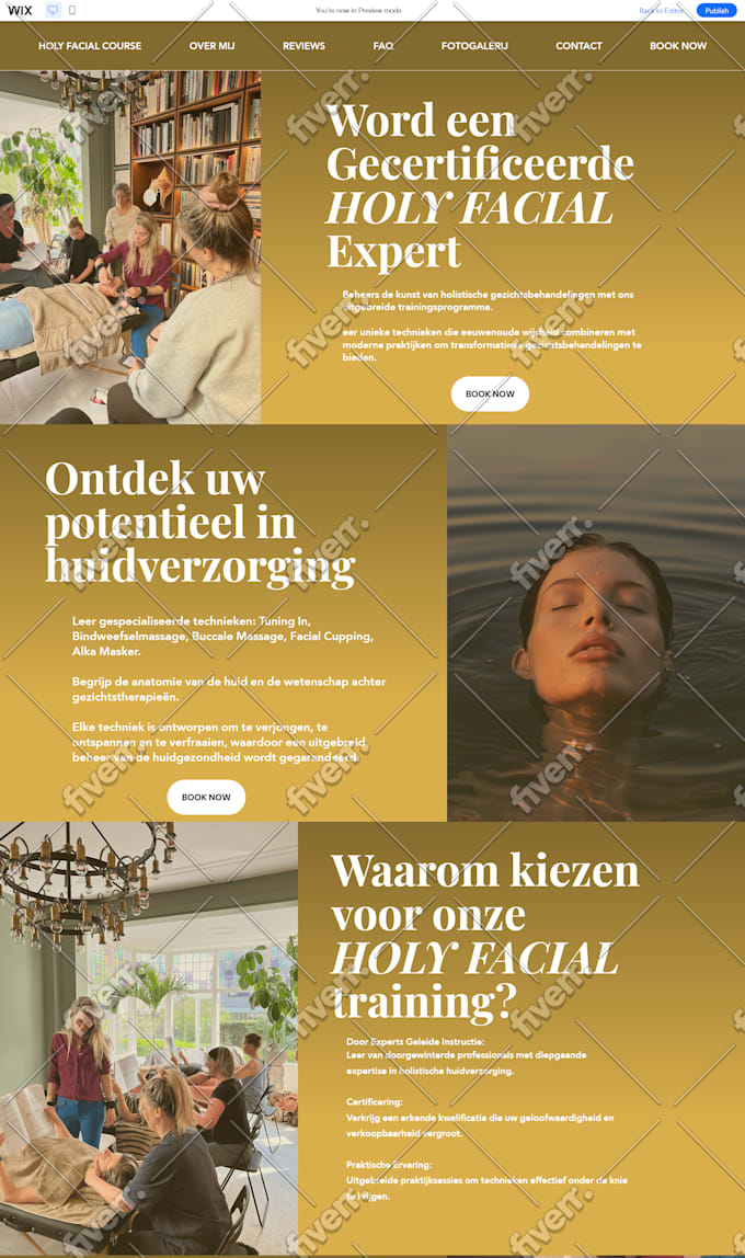 build your custom wix studio website or store