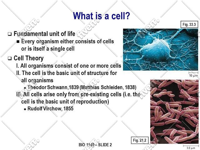 be your tutor in microbiology