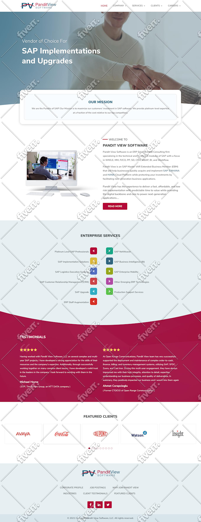 design, redesign wordpress website, develop ecommerce store