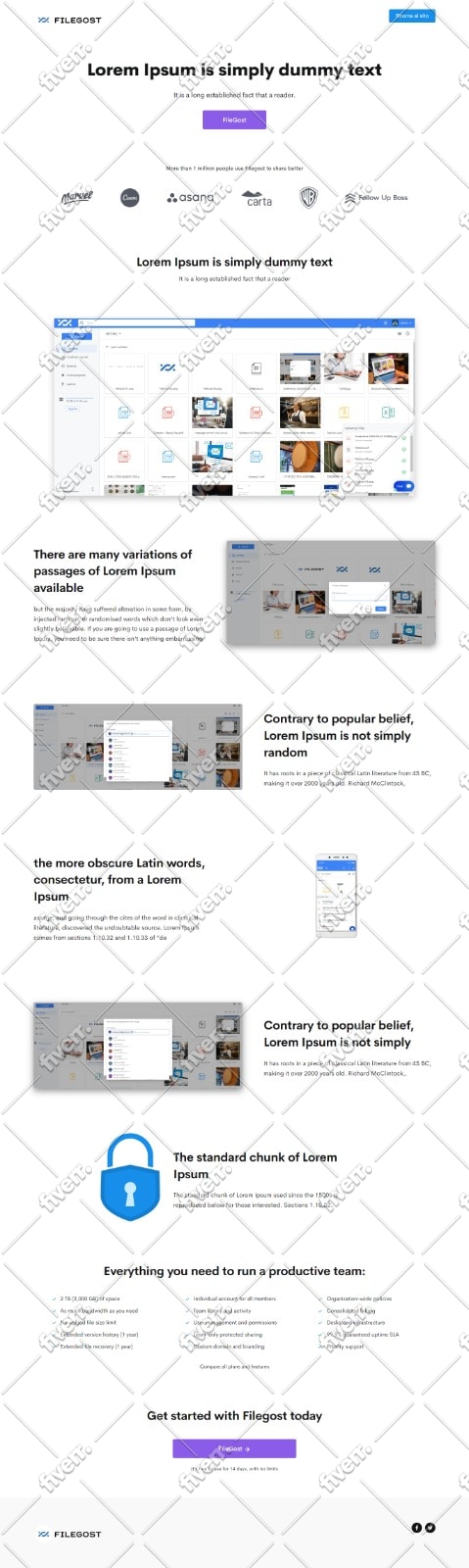 build, redesign, duplicate or revamp your wordpress website and ecommerce