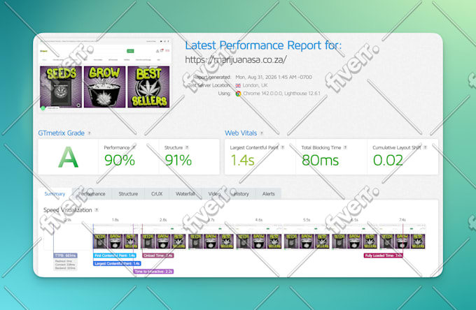 do wordpress speed optimization and fix core web vitals