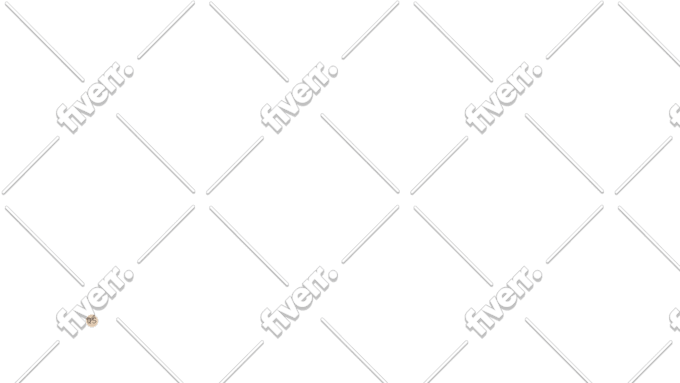 create a gui for your visual novel in renpy