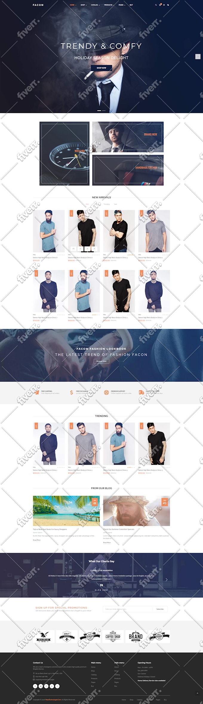 design, redesign shopify store, clone, revamp, copy shopify website