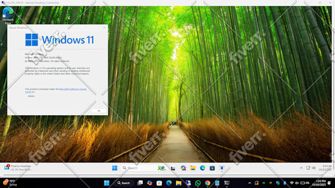 install windows os on linux vps, server contabo hetzner ovh