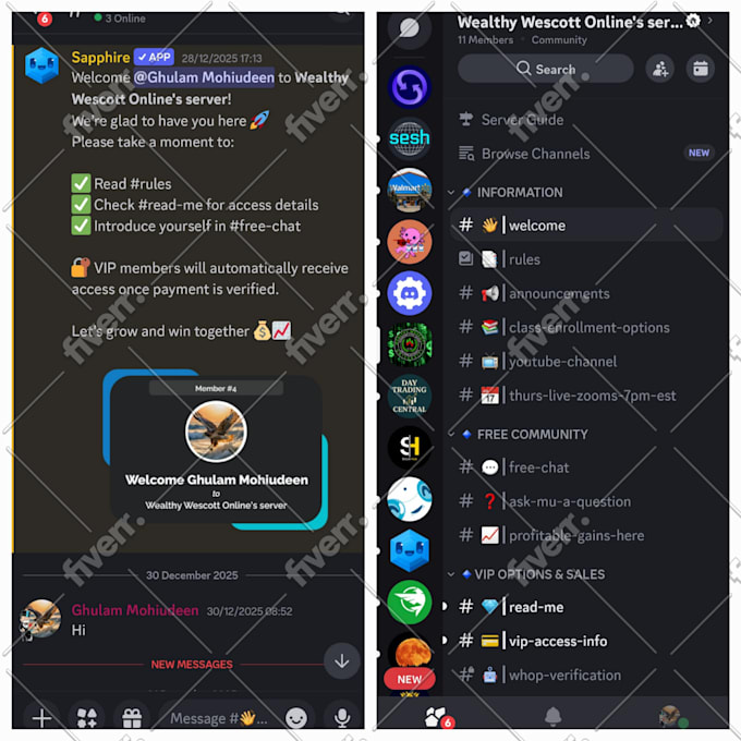create a pro discord server setup with custom bots and automation