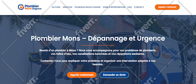 design and develop a professional wordpress website tailored to your need