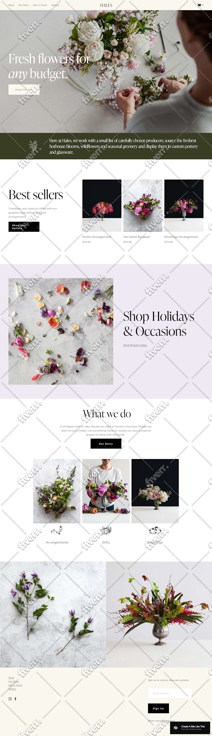 design ionos godaddy hostinger bluehost siteground wordpress website