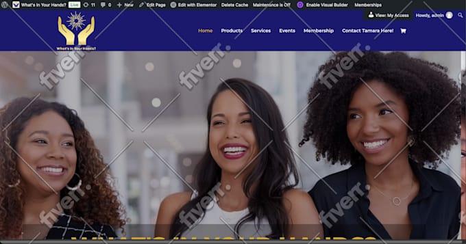 fix wordpress website errors, bugs, and issues