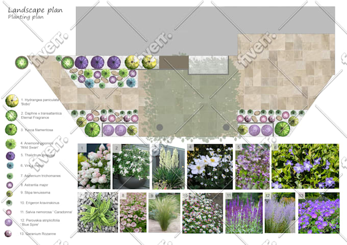create landscape planting plan
