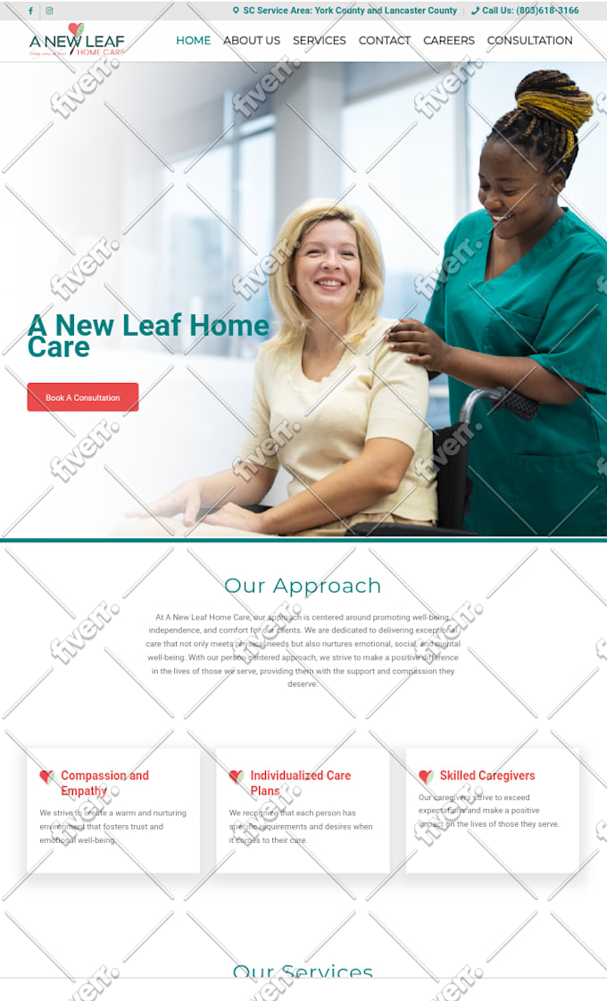 design a professional home care and wellness website design