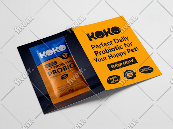 design a premium brochure with a professional layout
