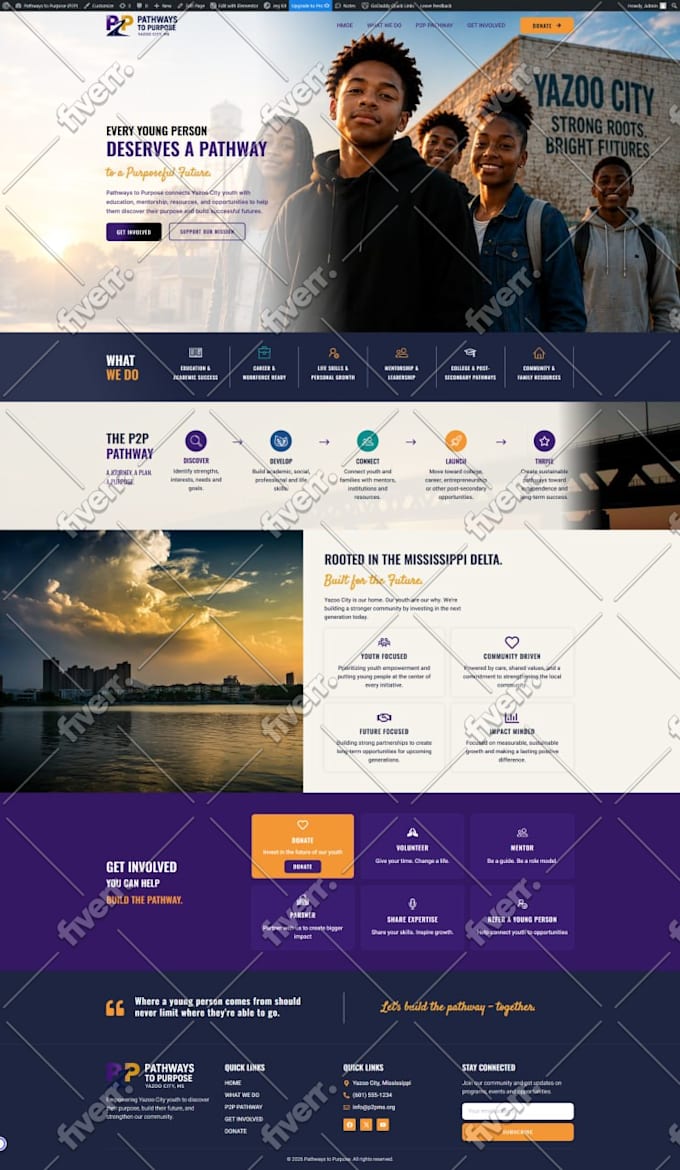 build wordpress website development, redesign wordpress using elementor pro