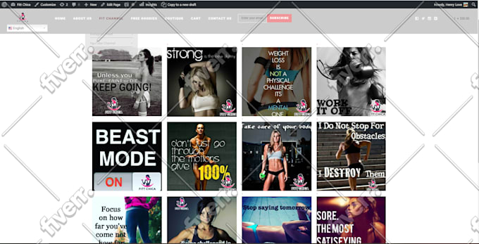 fix wordpress issue, php css error, bugs and customize theme