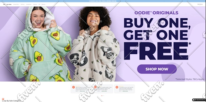 build shopify store design redesign, shopify website, shopify dropshipping store