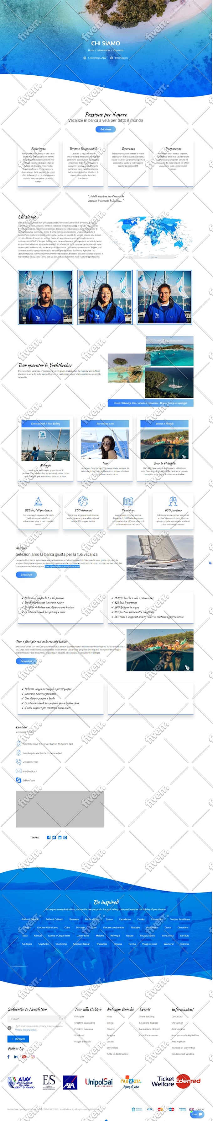 develop a professional wordpress website