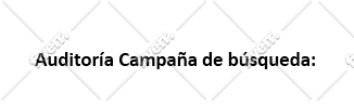 audit your google ads adwords campaign in spanish