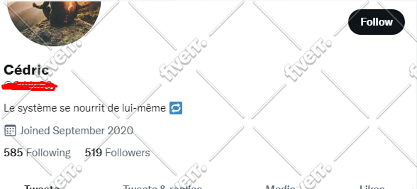 do targeted twitter marketing and growth organic followers