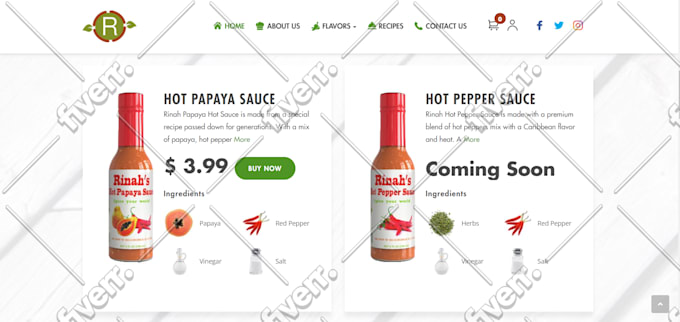 design and redesign stunning wordpress website