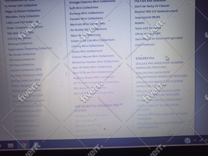 create wordpress elementor website, wordpress shop, business website development