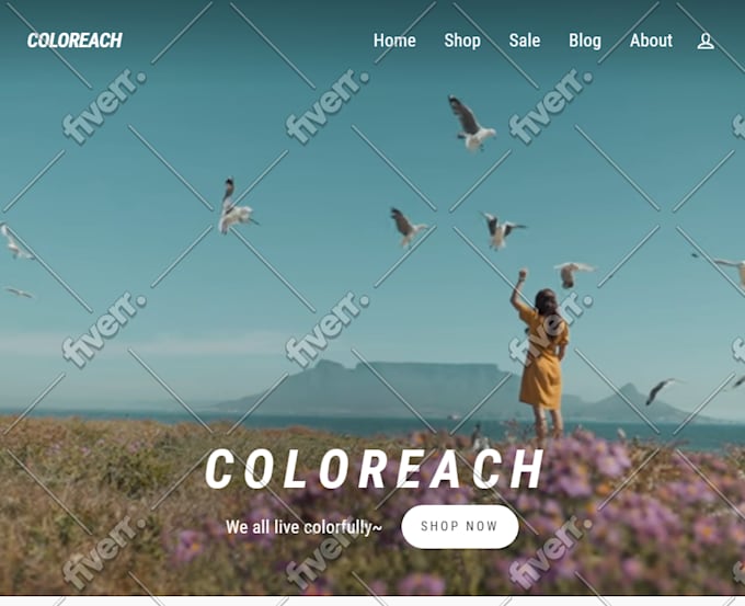 do shopify custom coding or shopify theme customization