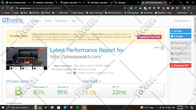 do wordpress speed optimization, improve pagespeed and gtmetrix score