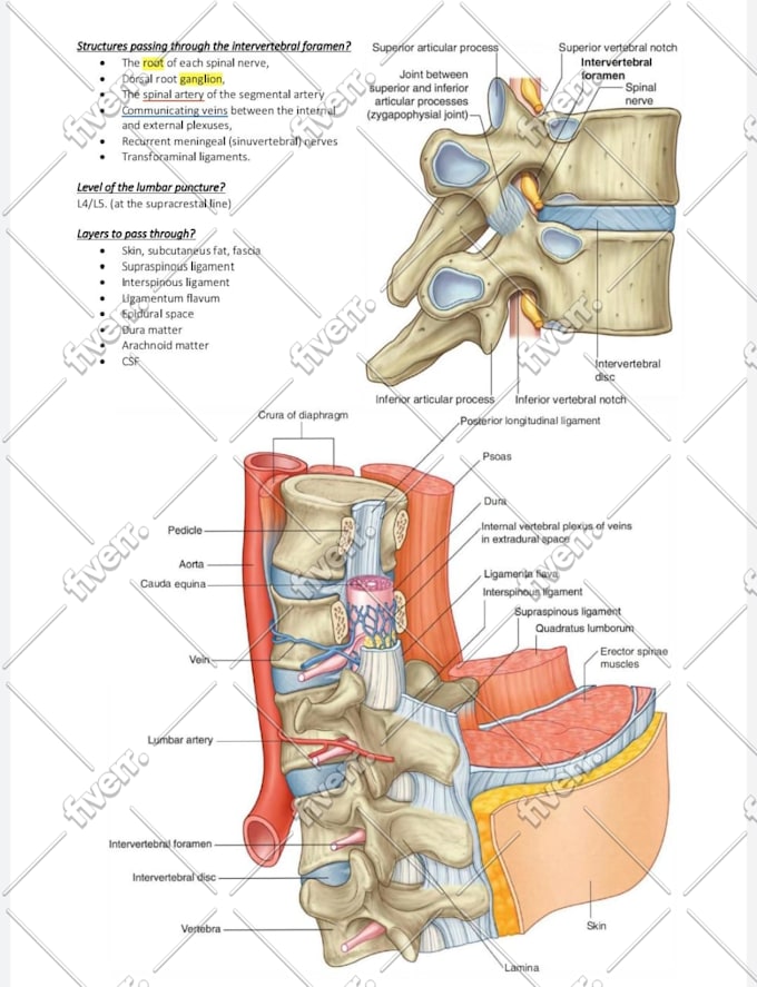 tutor microbiology, anatomy and physiology