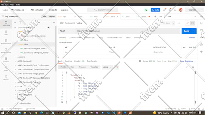develop python flask restful API or web apps