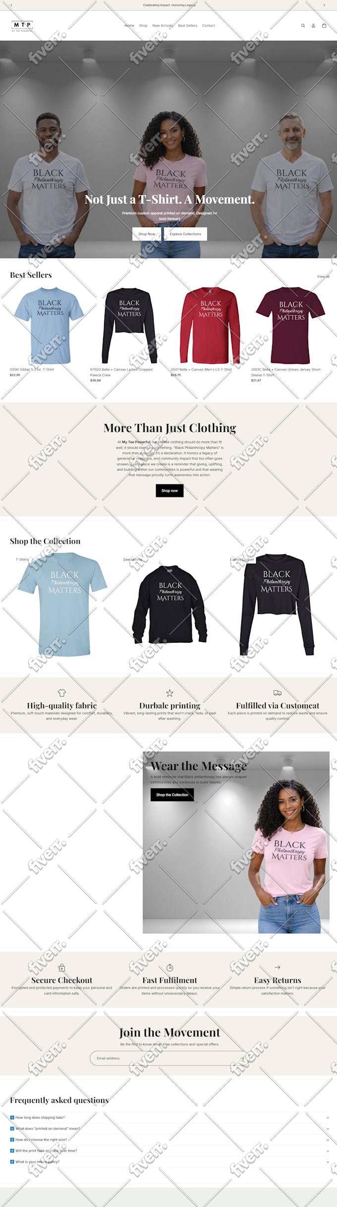 build a professional shopify website development or shopify store design