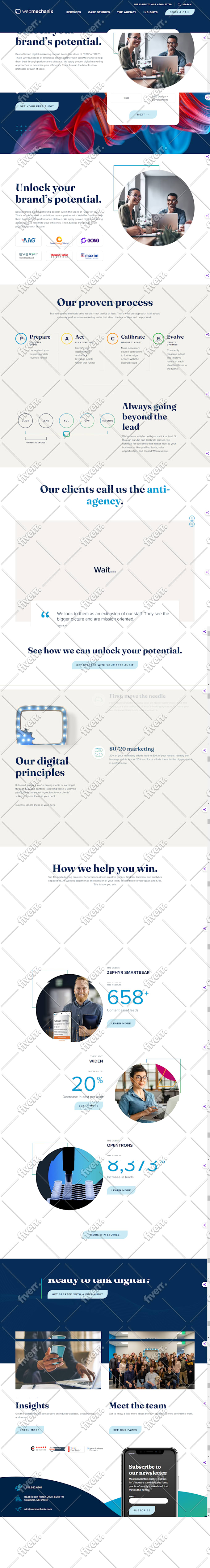 build a professional wordpress website design or blog