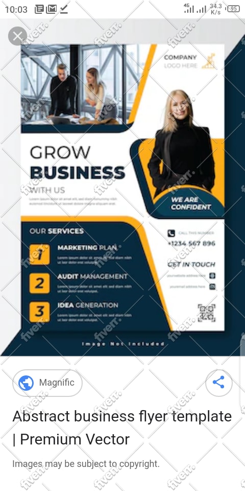 shopify developer, shopify customization, shopify bug fix, shopify coding