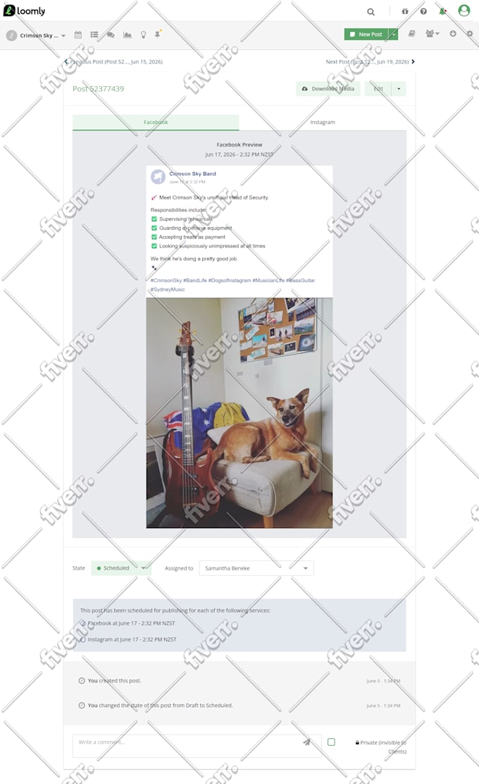 build and launch your social media accounts for success
