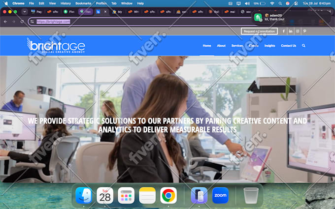 fix wordpress issues, errors, bugs, css, provide wp help