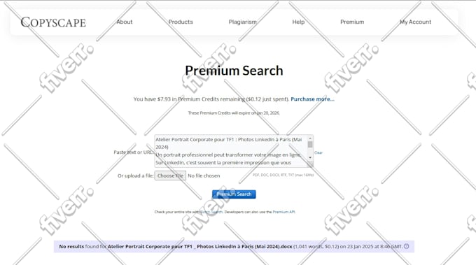 write french SEO friendly articles and blog posts