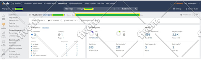 do complete seo of shopify ecommerce store to increase sales