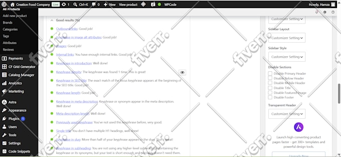 do SEO optimization of your wordpress website