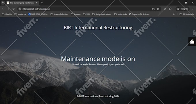 provide professional wordpress customization