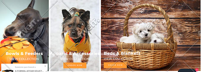 setup and design shopify or woocommerce store