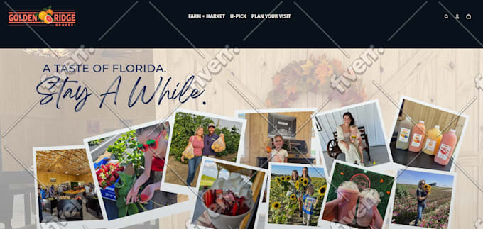 do shopify custom coding shopify bug fix and custom theme development