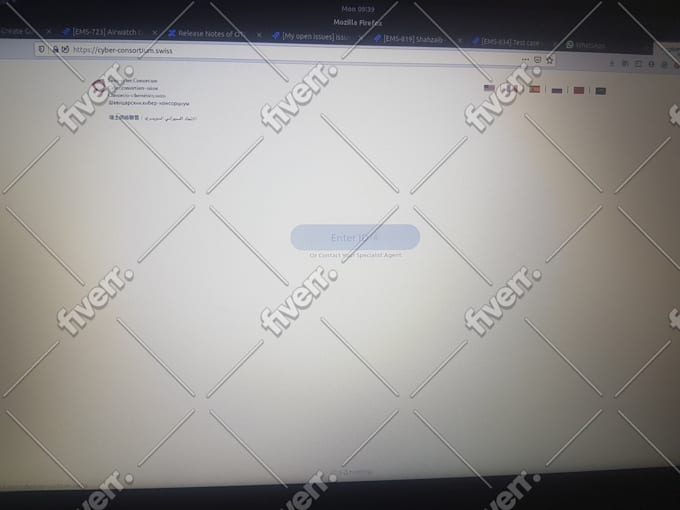create responsive websites in python, django, javascript, react, next