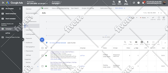 setup, optimize, and manage profitable google ads PPC campaigns