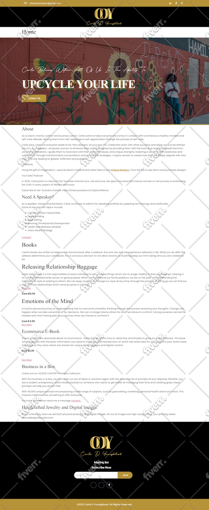 design redesign responsive wordpress website for your business