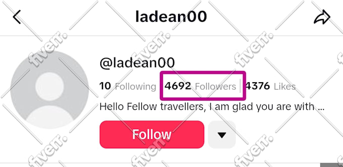 do super fast tiktok followers growth