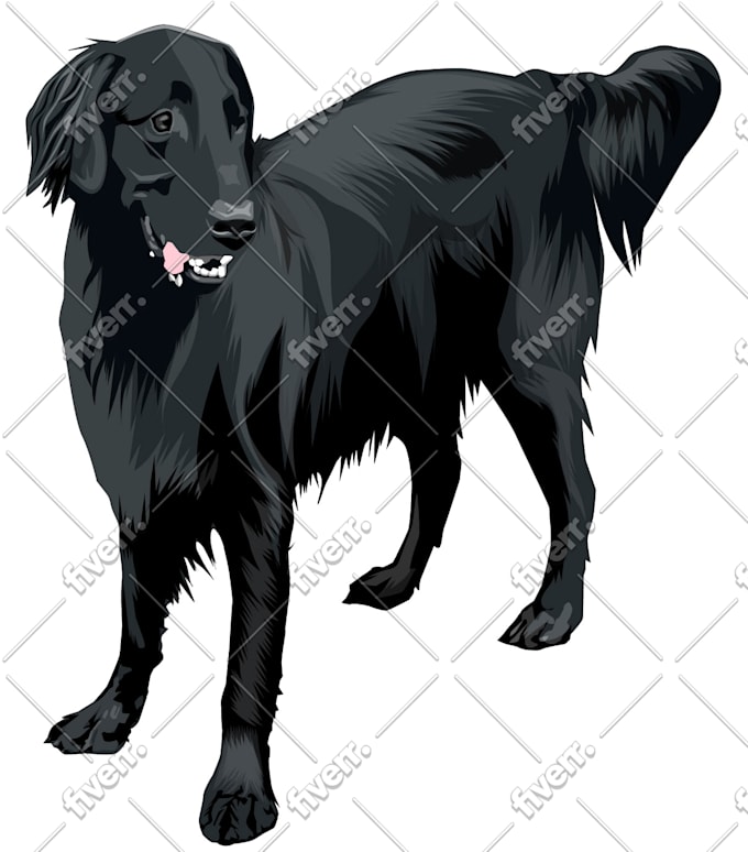 make drawing picture from your pets photo