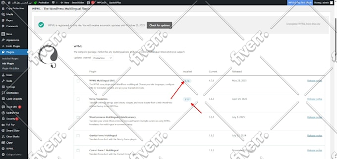 install wpml ,configure wpml in wordpress website
