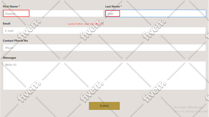 develop a custom inventory management system to track sales