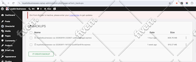 fix wordpress plugin or themes fatal errors or bugs