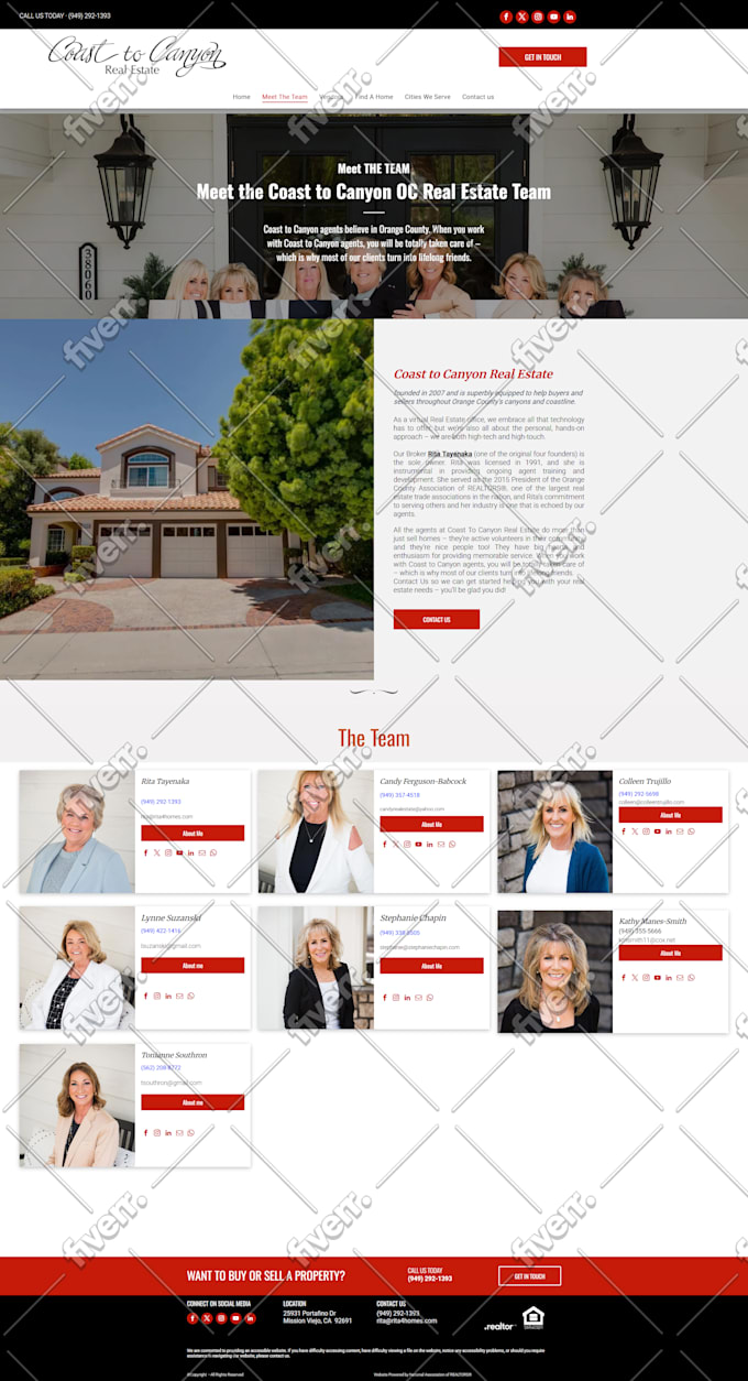 do your full wordpress website with divi theme