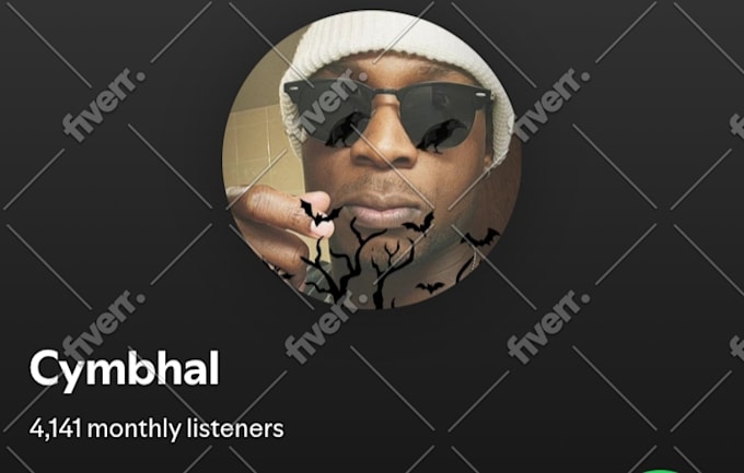 do professional spotify music promotion